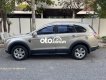 Chevrolet Captiva LT 2008 - Cần bán Chevrolet Captiva LT năm 2008, giá 195tr