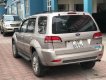 Ford Escape   XLT 2008 - Cần bán lại xe Ford Escape XLT sản xuất 2008, màu ghi vàng