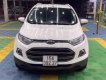 Ford EcoSport Titanium 2014 - Bán Ford EcoSport Titanium sản xuất năm 2014, màu trắng