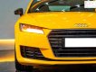 Audi TT 2015 - Bán xe Audi TT năm sản xuất 2015, màu vàng, nhập khẩu