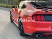 Ford Mustang 2016 - Bán Ford Mustang EcoBoost sản xuất năm 2016, màu đỏ, nhập khẩu nguyên chiếc