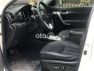 Kia Sorento    2013 - Bán Kia Sorento sản xuất 2013, màu trắng, nhập khẩu còn mới, giá 520tr