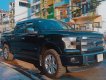 Ford F 150 Platinum 2016 - Bán Ford F 150 Platinum năm 2016, màu đen, xe nhập