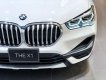 BMW X1 sDrive18i 2021 - Bán BMW X1 sDrive18i sản xuất năm 2021, màu trắng, xe nhập