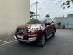 Ford Everest  Trend 2.0AT 4x2 2017 - Cần bán Ford Everest Trend 2.0AT 4x2 sản xuất 2017, nhập khẩu, 875 triệu