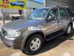 Ford Escape 2002 - Cần bán xe Ford Escape 3.0 năm 2002, màu xám