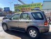 Ford Escape 2002 - Cần bán xe Ford Escape 3.0 năm 2002, màu xám