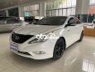 Hyundai Sonata   2010 - Cần bán xe Hyundai Sonata năm 2010, màu trắng