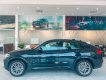 BMW X4 2021 - Bán xe BMW X4 xDrive20i M Sport năm 2021, màu đen