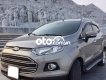 Ford EcoSport 2017 - Xe Ford EcoSport năm 2017, màu xám