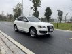 Audi Q5 2010 - Bán ô tô Audi Q5 đăng ký lần đầu 2010 còn mới giá 608tr