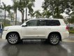 Toyota Land Cruiser 2020 - Cần bán Toyota Land Cruiser VX 4.6 V8 sản xuất năm 2020, màu trắng, xe nhập