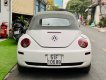 Volkswagen Beetle 2005 - Bán Volkswagen Beetle 2.5L sản xuất 2005, màu trắng, xe nhập số tự động