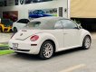 Volkswagen Beetle 2005 - Bán Volkswagen Beetle 2.5L sản xuất 2005, màu trắng, xe nhập số tự động