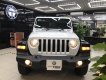 Jeep Wrangle     2020 - Bán Jeep Wrangle đời 2020, màu trắng, nhập khẩu chính hãng, số tự động