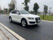 Audi Q5 2010 - Bán Audi Q5 sản xuất 2010, màu trắng, xe nhập