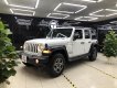 Jeep Wrangle 2021 - Jeep Wrangler 2021 nhập Mĩ - tháo nóc được giá 3 tỷ mấy