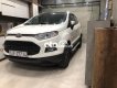 Ford EcoSport 2015 - Cần bán Ford EcoSport Titanium AT sản xuất 2015, màu trắng giá cạnh tranh