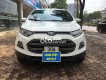 Ford EcoSport 2014 - Bán Ford EcoSport Titanium 1.5L AT năm 2014, màu trắng