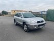 Hyundai Santa Fe 2004 - Bán Hyundai Santa Fe Gold năm sản xuất 2004, màu bạc