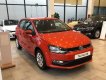 Volkswagen Polo 2021 - Cần bán xe Volkswagen Polo 1.6AT năm sản xuất 2021, nhập khẩu nguyên chiếc