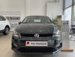 Volkswagen Polo 2022 - Bán Volkswagen Polo 1.6 năm 2022, màu xám, nhập khẩu nguyên chiếc