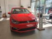 Volkswagen Polo 2021 - Cần bán xe Volkswagen Polo 1.6AT năm sản xuất 2021, nhập khẩu nguyên chiếc