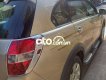 Chevrolet Captiva 2008 - Bán Chevrolet Captiva năm sản xuất 2008, màu vàng chính chủ