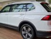 Volkswagen Tiguan 2020 - Bán ô tô Volkswagen Tiguan năm sản xuất 2020, màu trắng, nhập khẩu