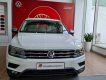 Volkswagen Tiguan 2020 - Bán ô tô Volkswagen Tiguan năm sản xuất 2020, màu trắng, nhập khẩu