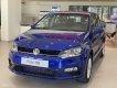 Volkswagen Polo 2022 - Volkswagen Polo 1.6 Hatchback 2022 - Miễn phí lệ phí trước bạ- LH Hotline KD: 093 2168 093