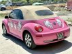 Volkswagen Beetle 2009 - Bán Volkswagen Beetle sản xuất năm 2009, màu hồng, xe nhập, 539 triệu