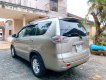 Mitsubishi Zinger 2009 - Màu vàng cát, giá 255tr