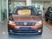 Volkswagen Tiguan 2017 - Xe qua sử dụng chính hãng, hỗ trợ bank 75%, giao xe toàn quốc