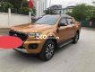 Ford Ranger 2019 - Màu nâu, nhập khẩu Thái Lan, 845tr