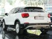 Audi Q2 2017 - Màu trắng, xe nhập