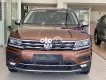 Volkswagen Tiguan 2017 - Màu nâu, xe nhập