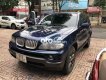 BMW X5 2004 - Màu xanh lam, xe nhập, giá chỉ 280 triệu