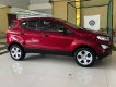 Ford EcoSport 2019 - Màu đỏ