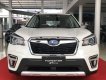 Subaru Forester 2020 - Subaru Đồng Nai - Chỉ 969 triệu sở hữu xe ngay - Ưu đãi khủng trong tháng 3