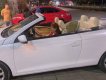 Volkswagen Eos 2008 - Màu trắng, nhập khẩu