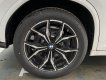 BMW X4 2021 - Nâng tầm sự hoàn hảo