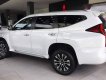 Mitsubishi Pajero 2022 - Màu trắng, xe nhập