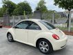 Volkswagen Beetle 2010 - Trung Sơn Auto bán xe siêu đẹp