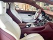 Bentley Continental 2021 - Chính hãng giao ngay - Số lượng có hạn