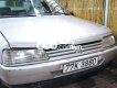 Peugeot 405 1990 - Màu bạc