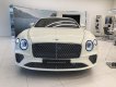 Bentley Continental 2021 - [Chính hãng] phiên bản Legendary độc nhất