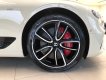 Bentley Continental 2021 - [Chính hãng] phiên bản Legendary độc nhất