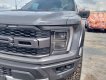 Ford F 150 2022 - Mới 100%, giao ngay