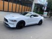 Ford Mustang 2018 - Bán xe Ford Mustang đời 2018 chính chủ giá chỉ 2 tỷ 450tr